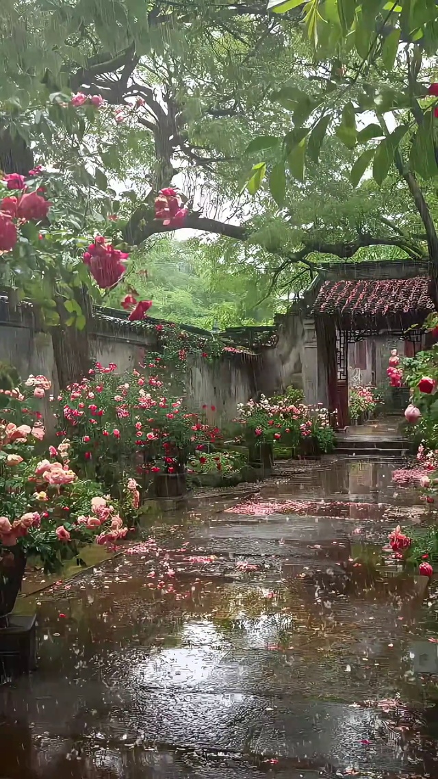 庭院大雨