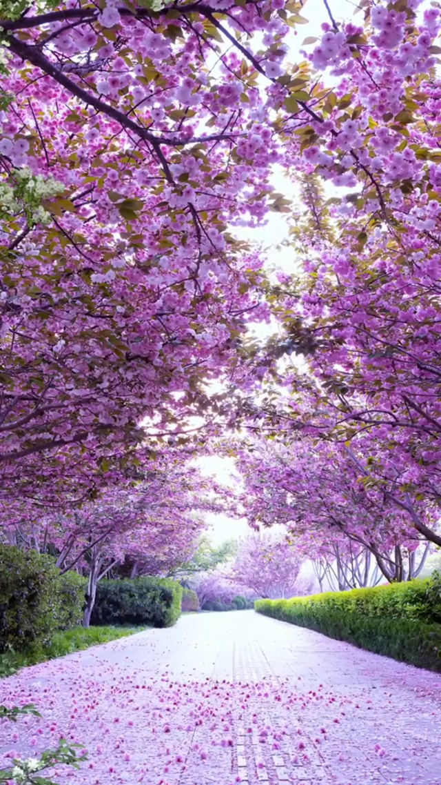 遇见你之前，我随遇而安。遇见你之后，我以你为安