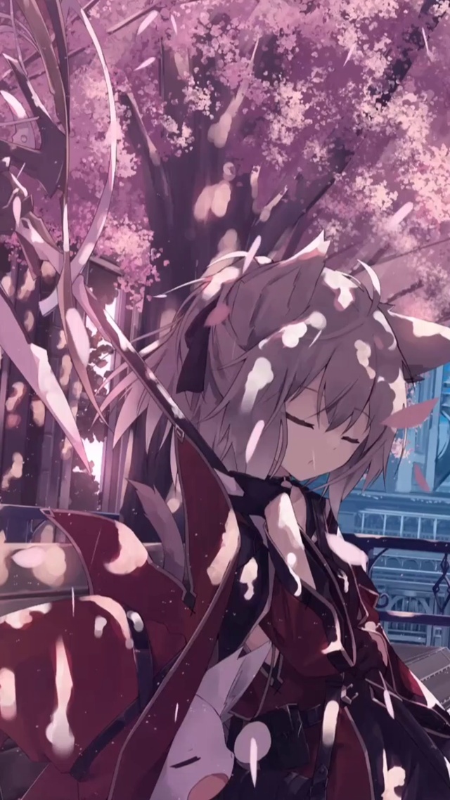 樱花树下的小狐狸少女