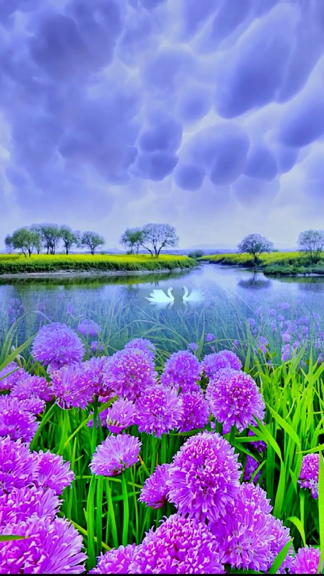 一起享受大自然的美