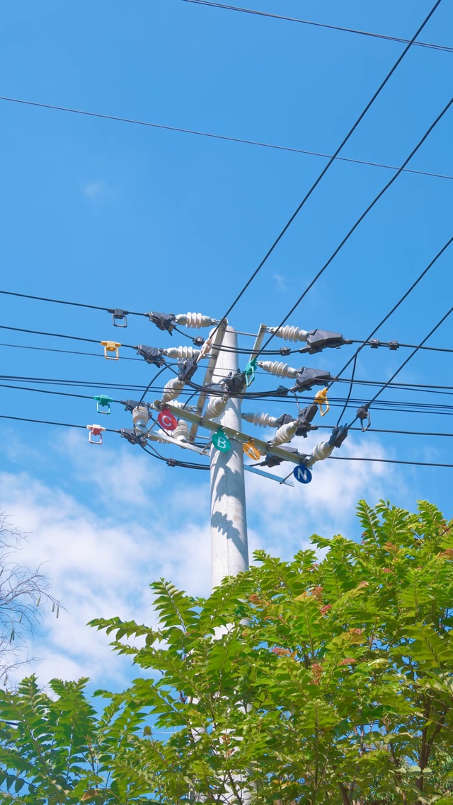 蓝天绿树电线杆风格壁纸l