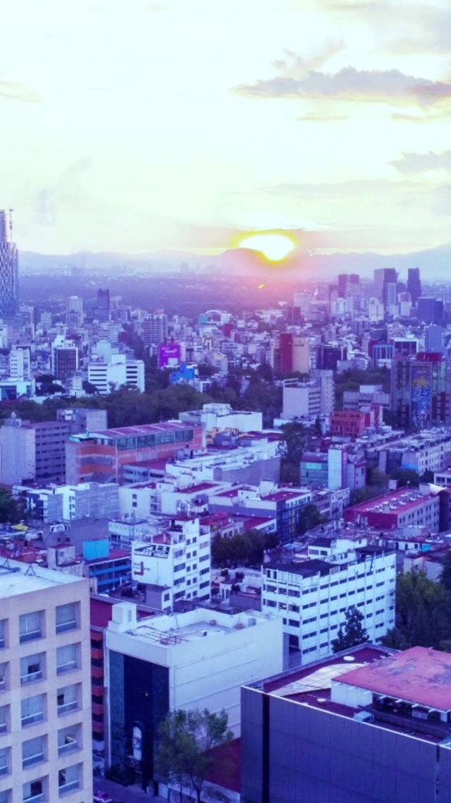 朝阳鸟声新生活