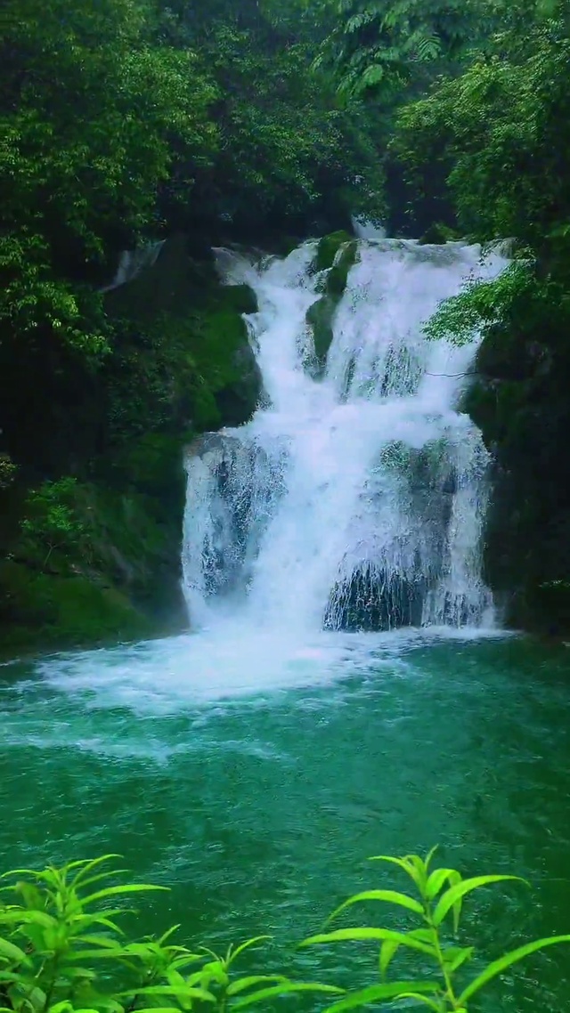 小溪流水