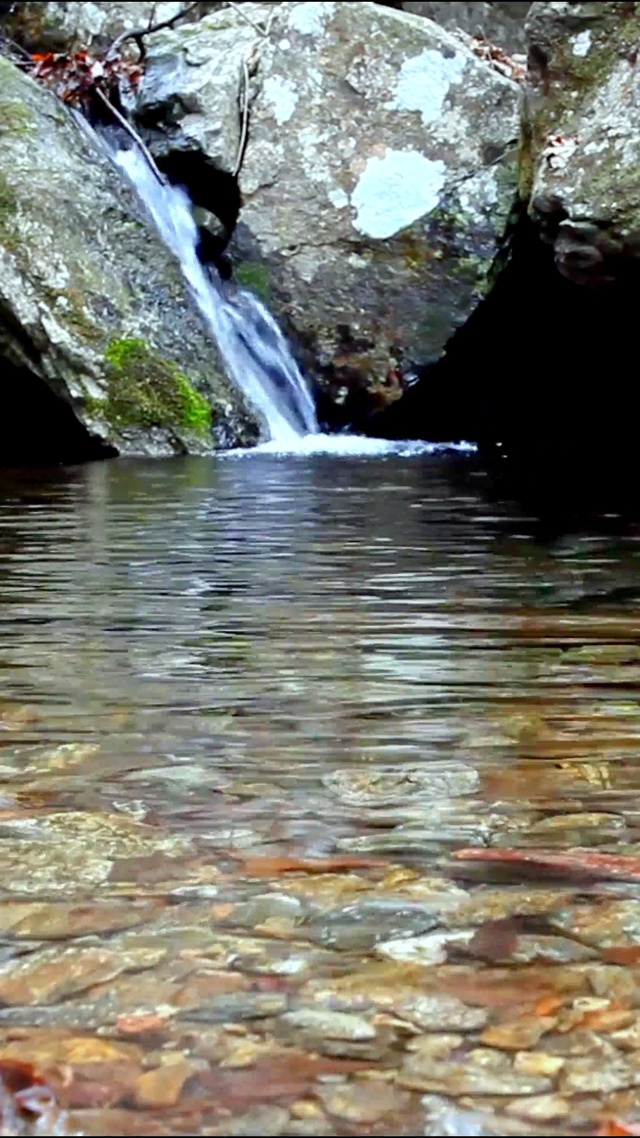 清凉小河流水4K