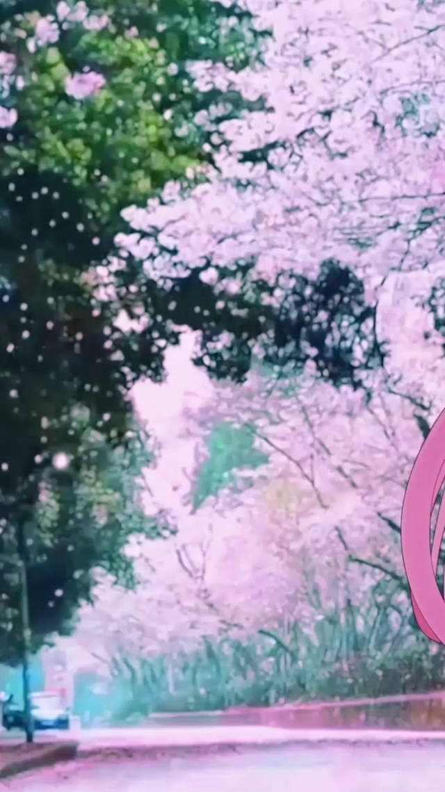 元七七同学-赏花