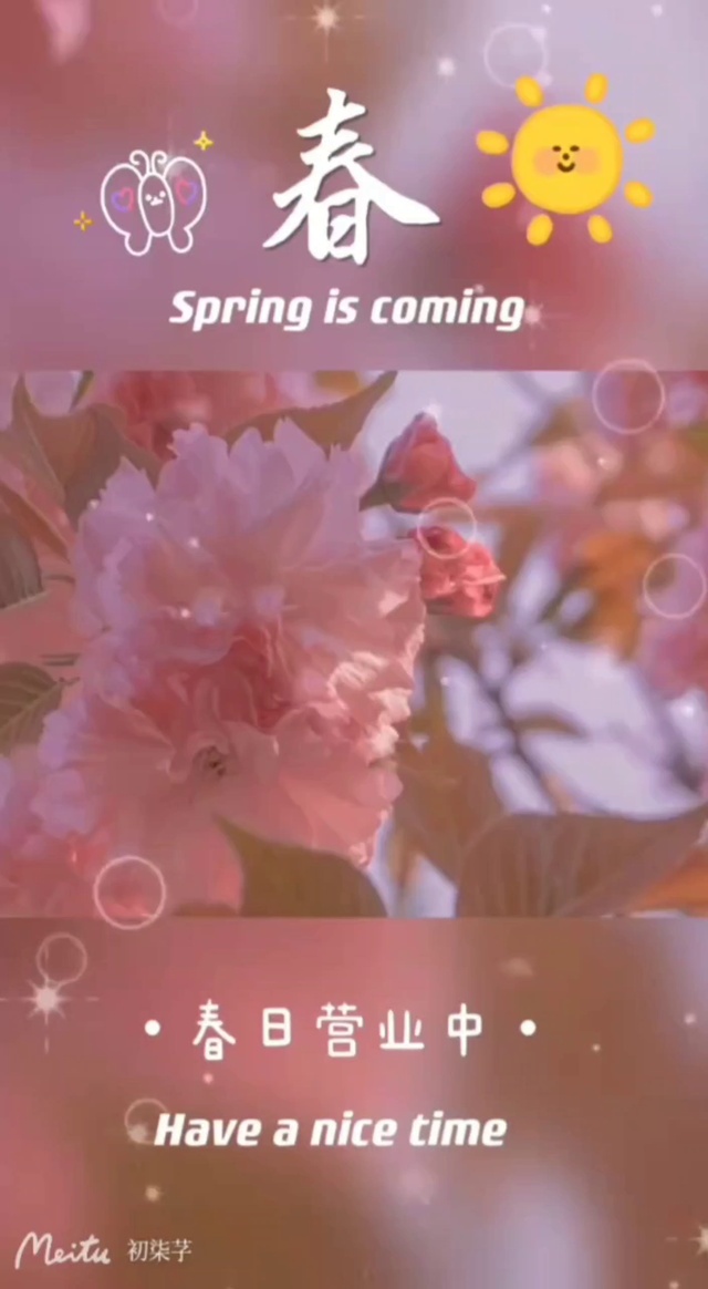 spring  is  coming