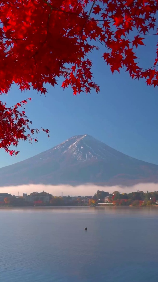 富士山下红叶湖
