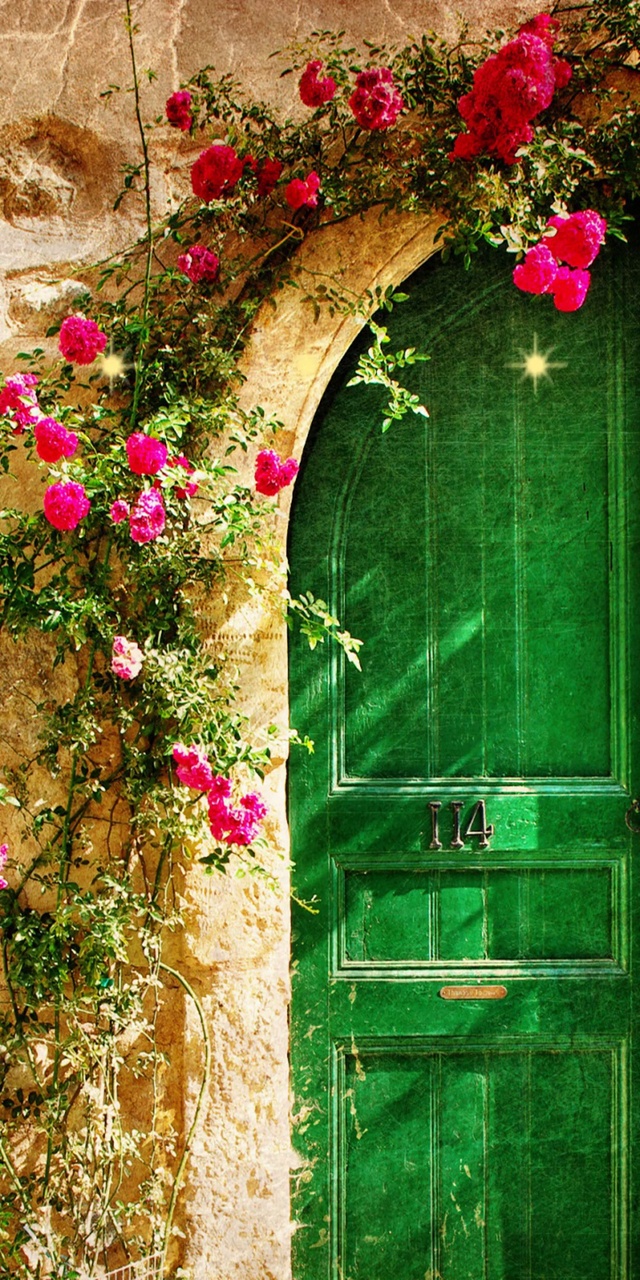 门前美丽的花花