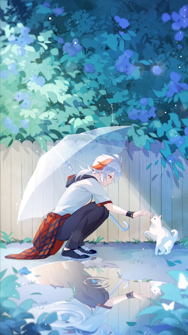 雨后的邂逅