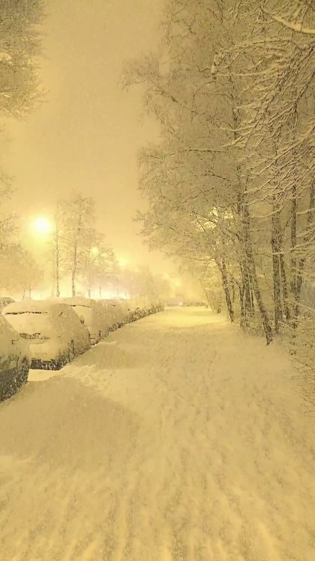 爆款夜晚下雪壁纸