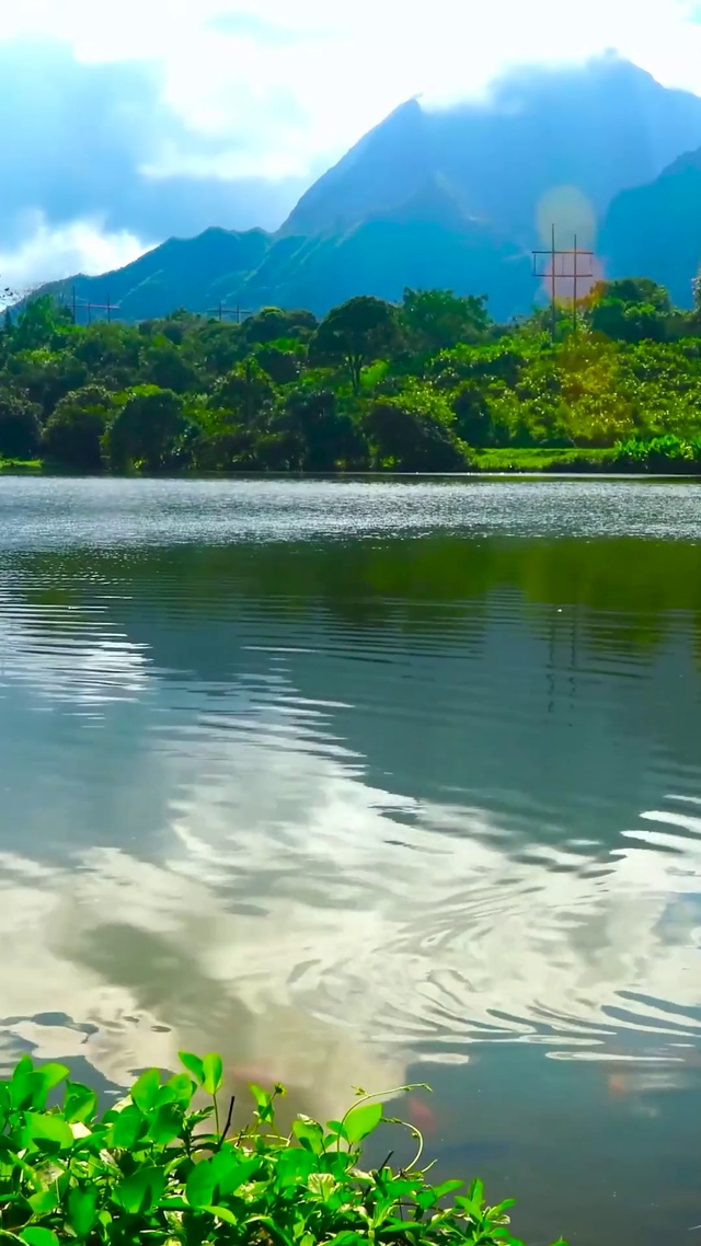 护眼青山绿水湖畔