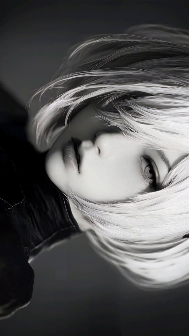 黑白尼尔2B
