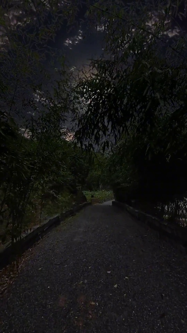 小时候的夜晚