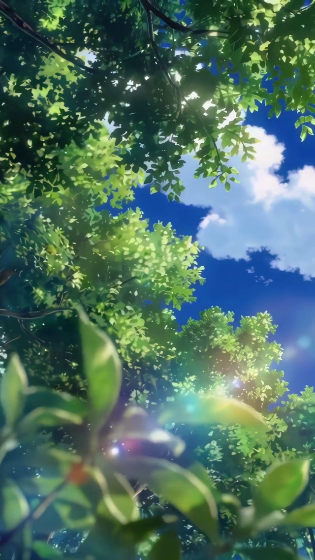 树顶晴空
