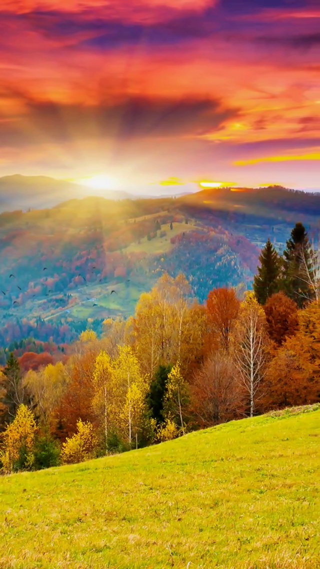 万山红遍，夕阳西下