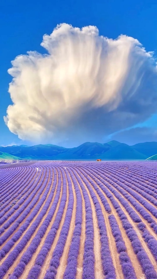 4k高清动态壁纸