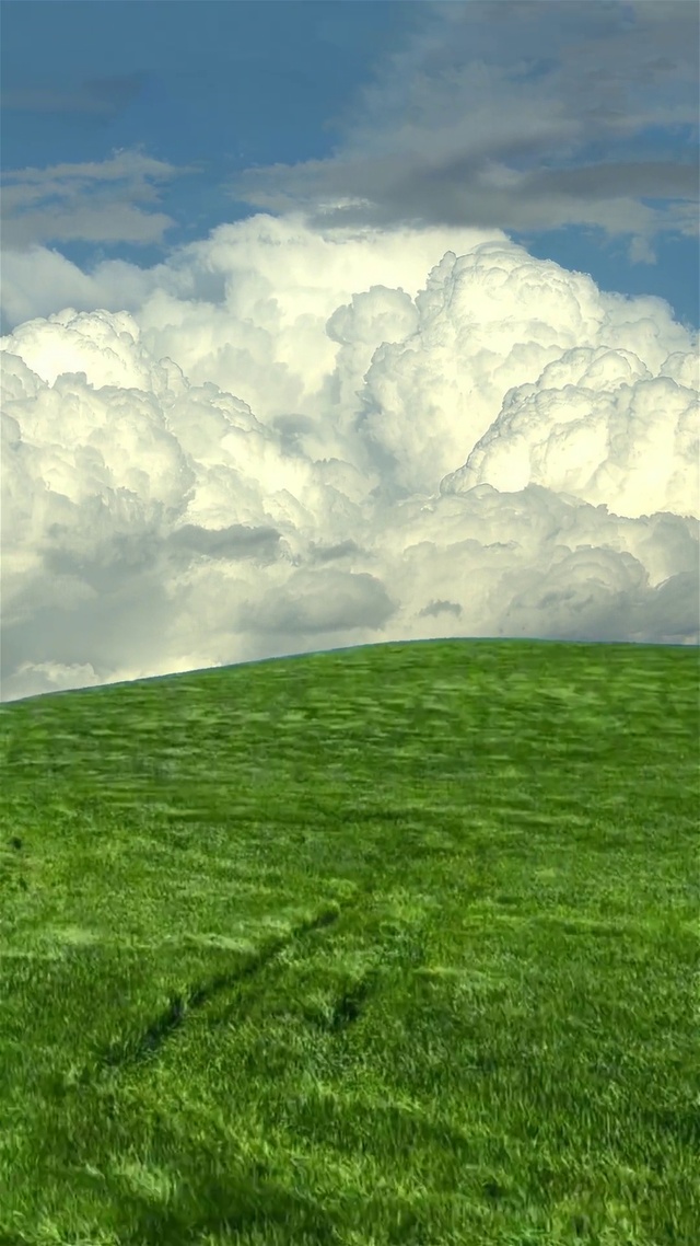 唯美的绿色草原