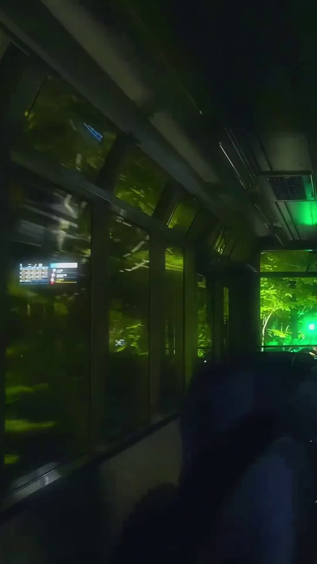 你不是枯枝败叶 你是我的春天