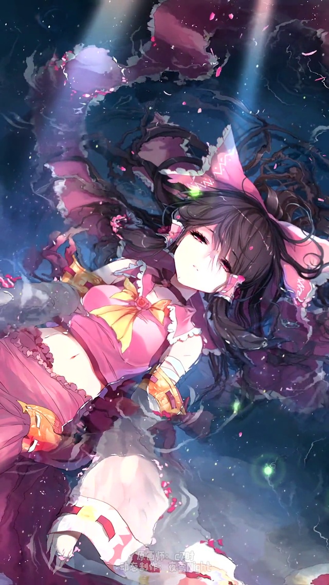 泡水灵梦 花——夜莺重置版