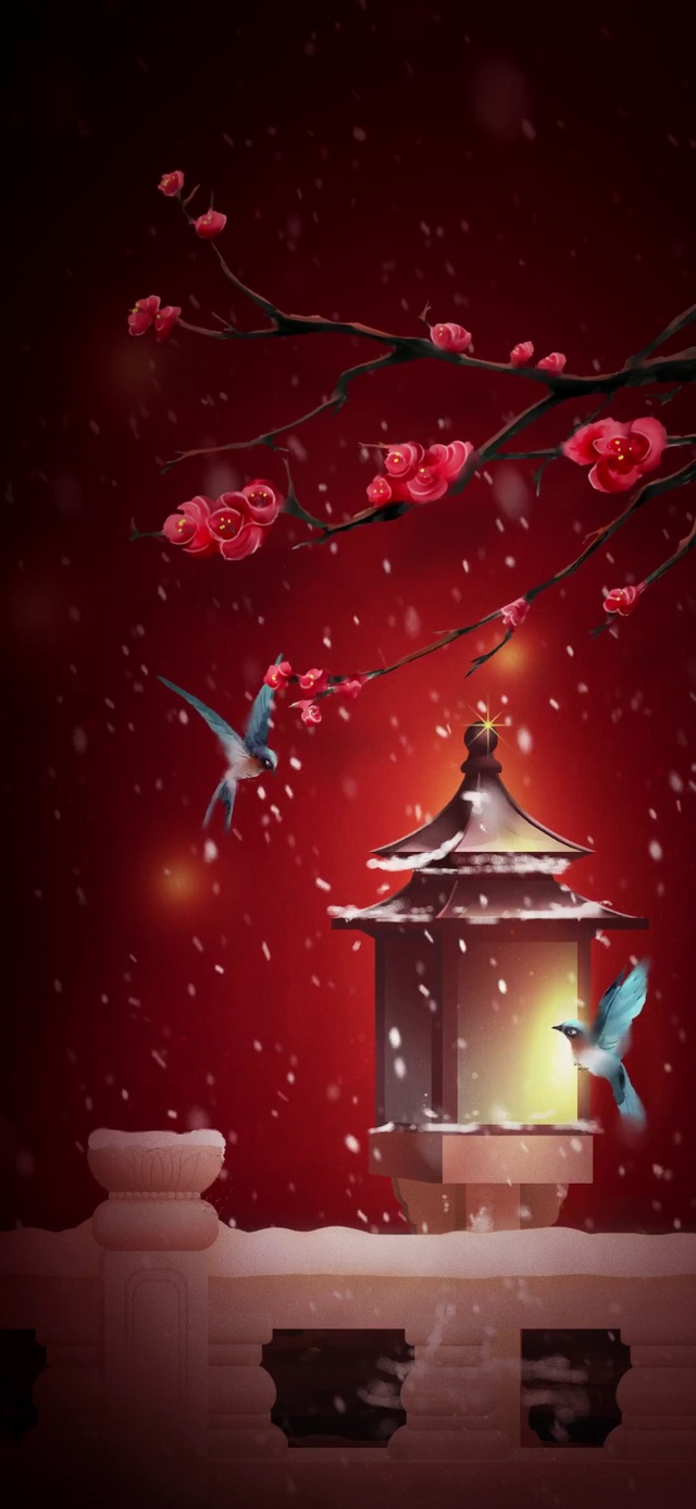 新年梅花枝头