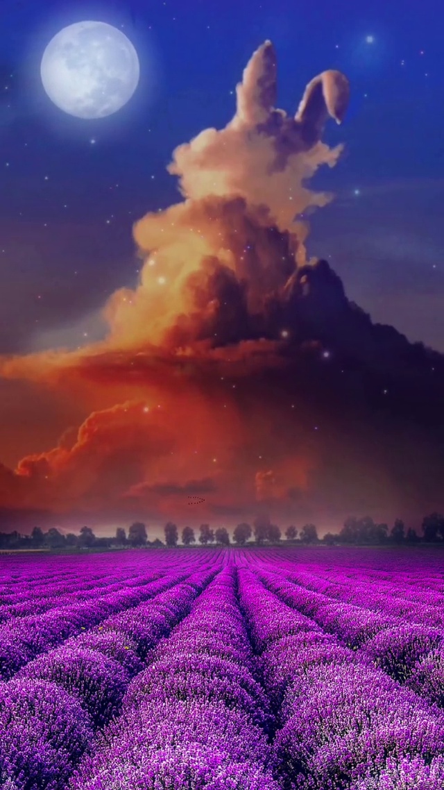 但愿人长久 千里共婵娟。