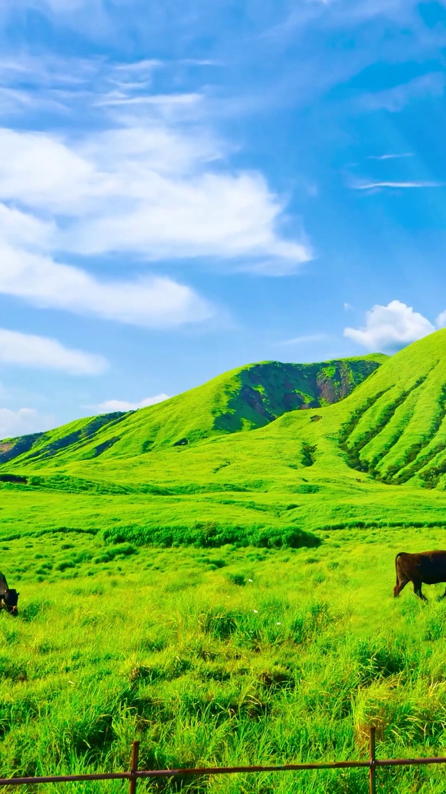 养眼草原蓝天白云