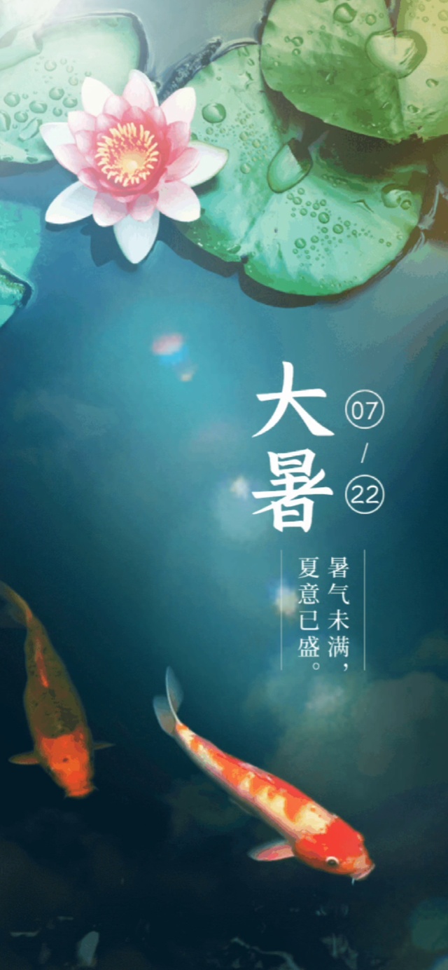 治愈荷花-大暑