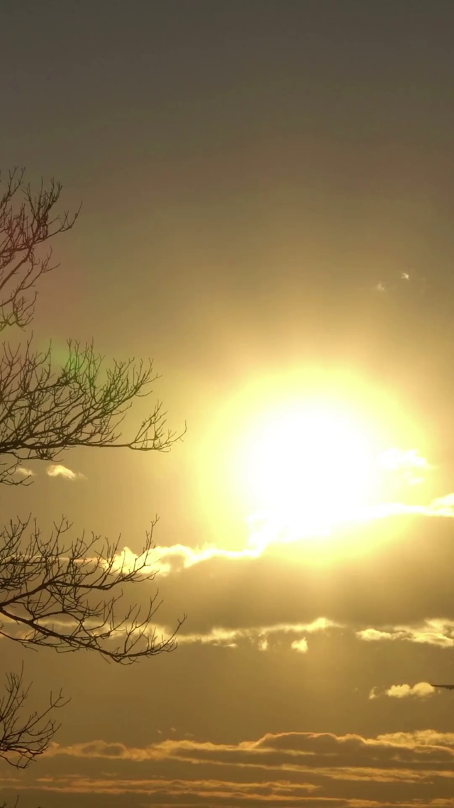 飞过你的城市（双端4K）