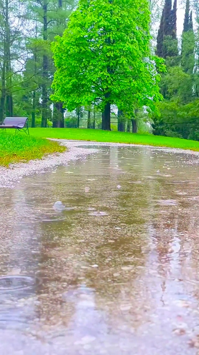 夏日清凉雨天小路
