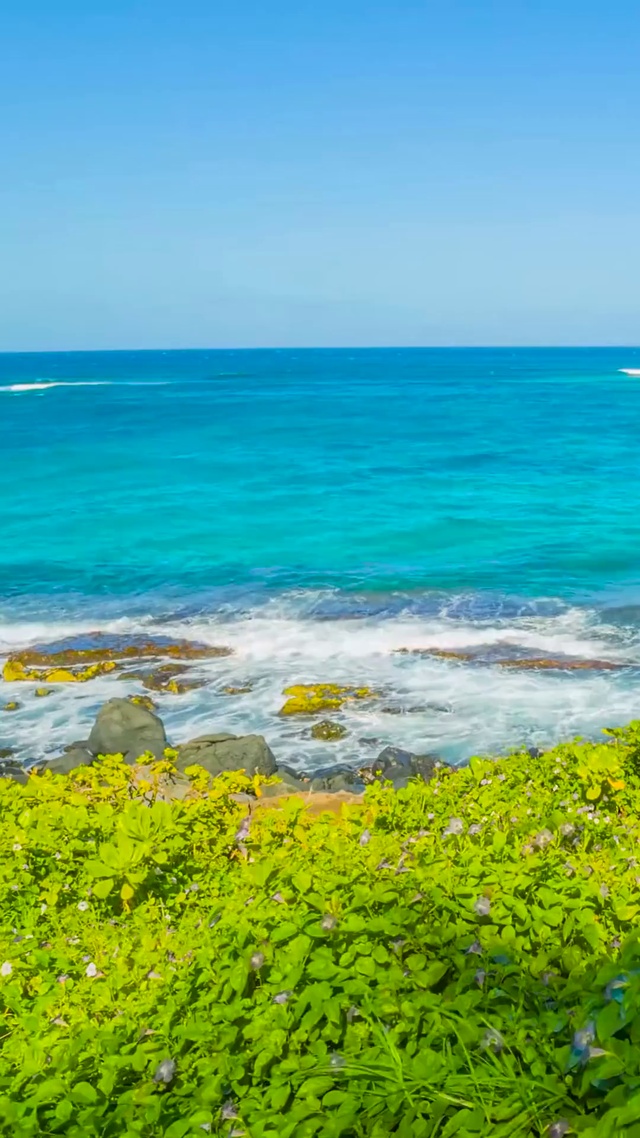 碧海蓝天绿草海浪