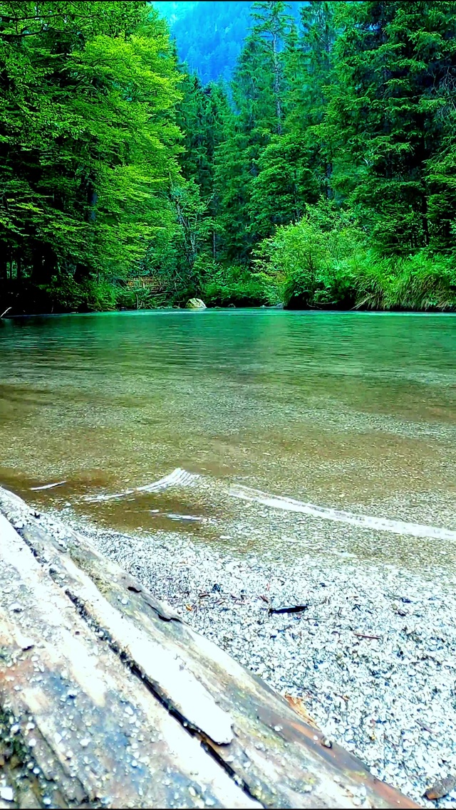 清凉山间流水4K