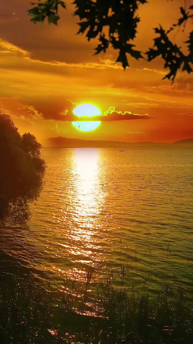 海上明月