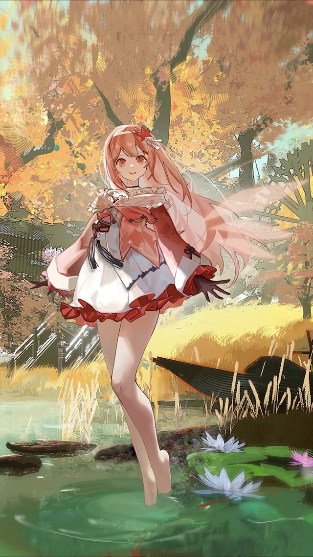 夏之精灵