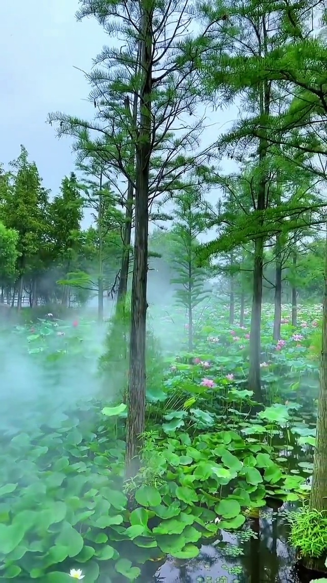 护眼幽静湖泊