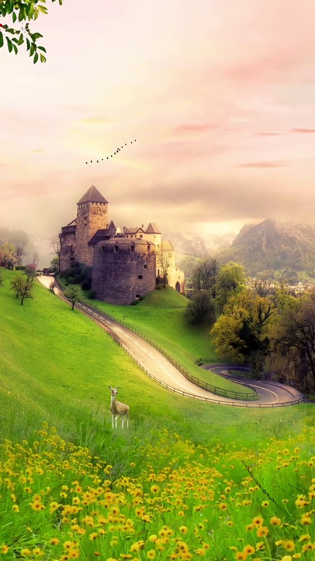 今天风很温柔，但远不及你