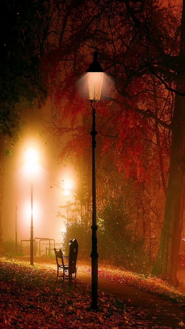 这样的夜晚，曾无数次在我的脑海里挥之不去