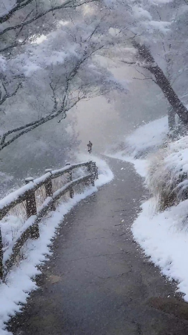 孤独下雪天