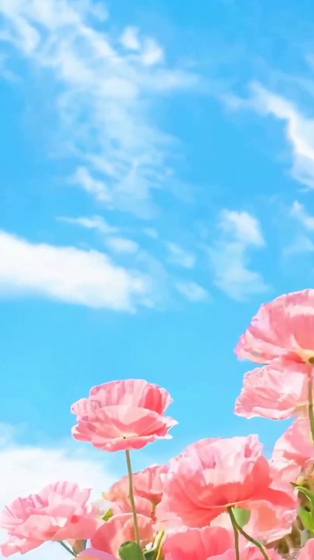 护眼花朵