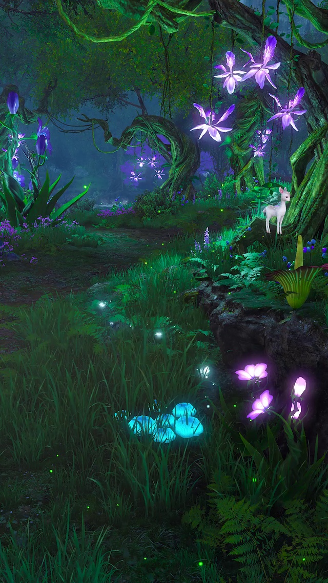 梦幻通话奇幻森林