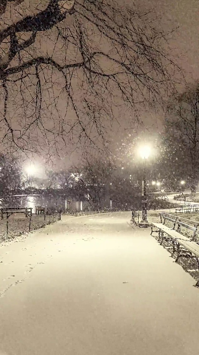 超级治愈粉色雪景