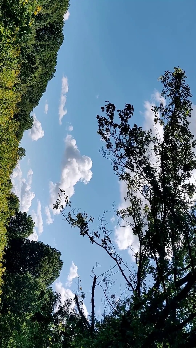 唯美自然风景