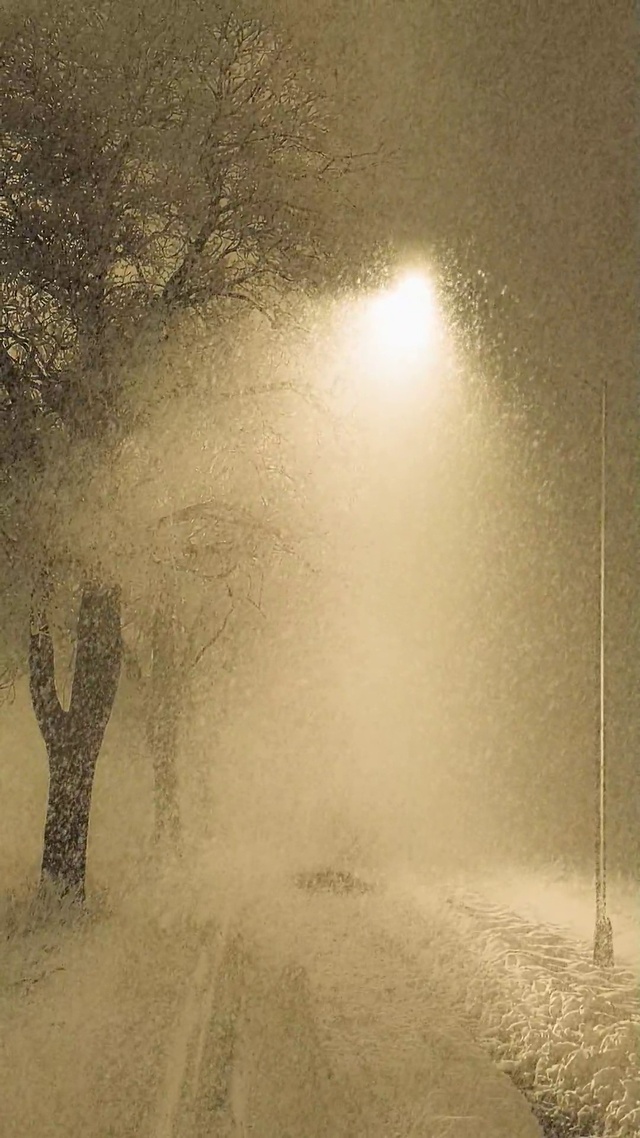 爆款冬夜下雪