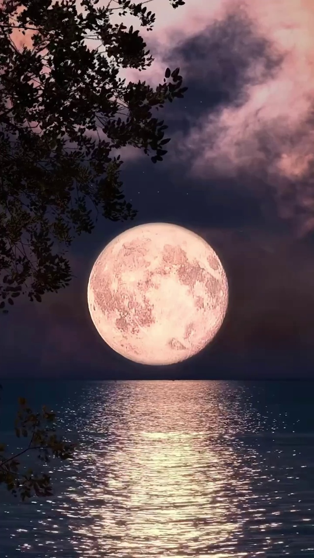 4k唯美治愈月亮