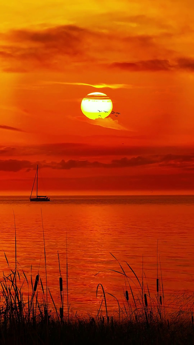 秋水共长天一色