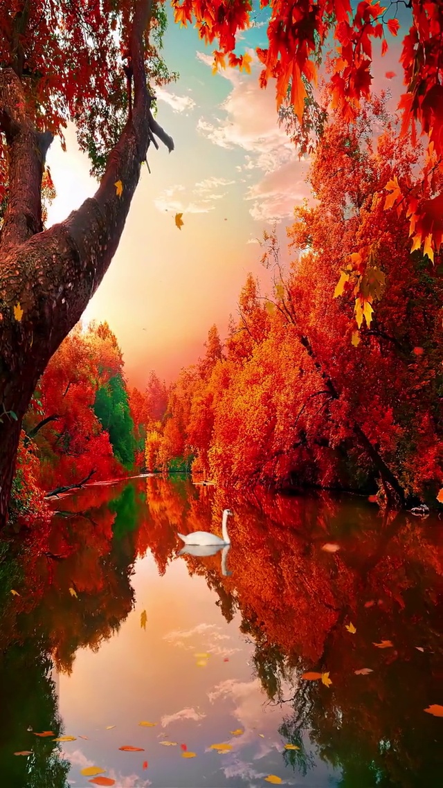 秋天最舒服的季节