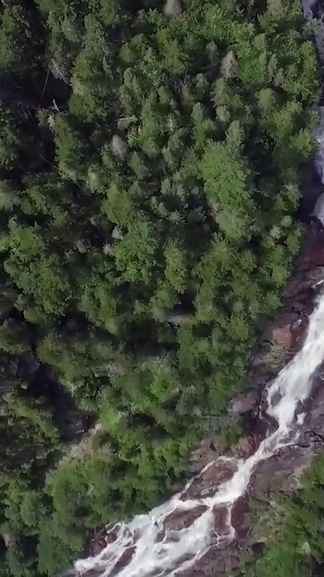 俯拍森林小溪_1_1