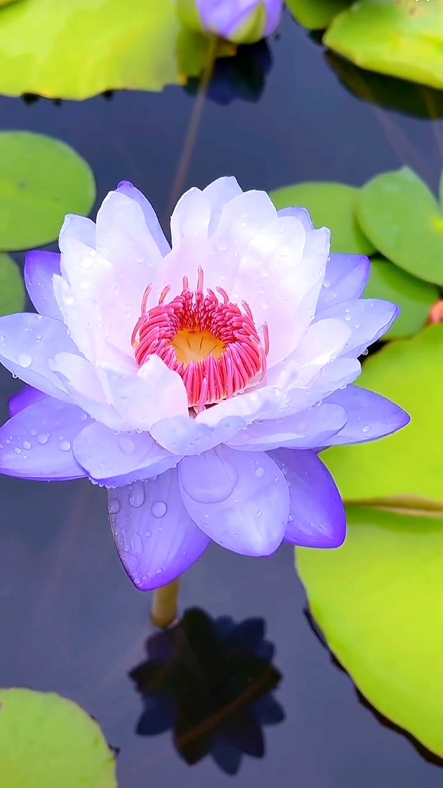 生活 是美 是发现