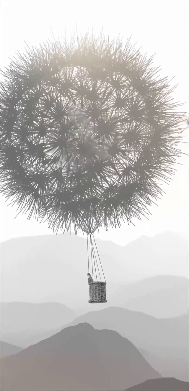 蒲公英的约定