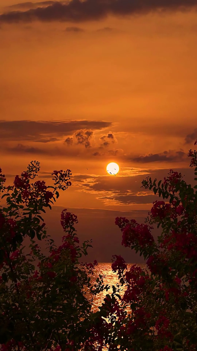 超清夕阳壁纸