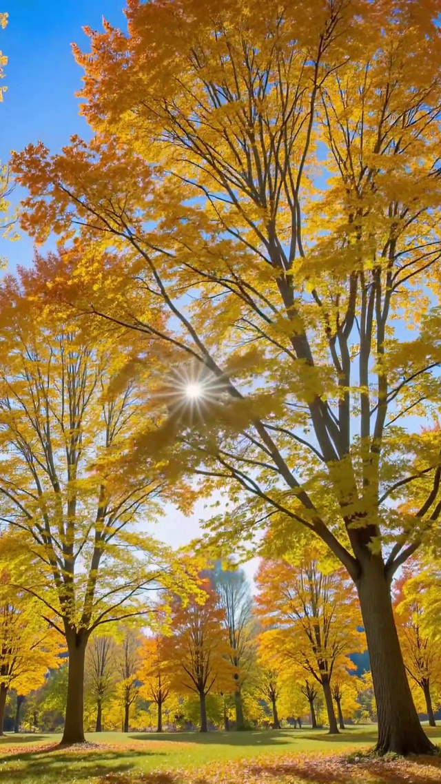 蓝天下秋林黄页